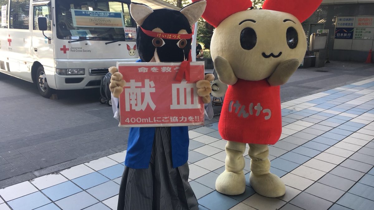 けいはつ犬の活動